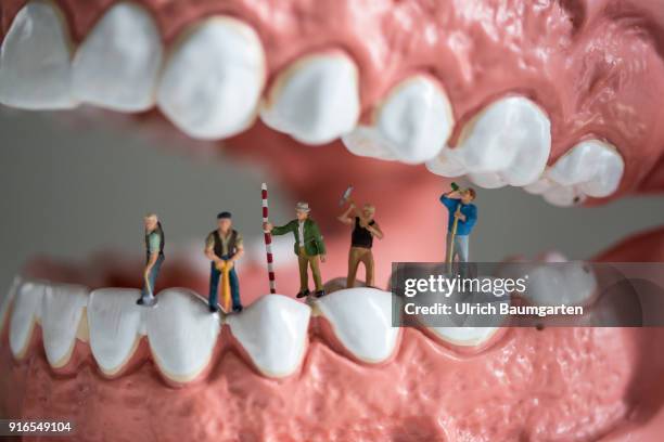 Symbol photo on the topics health, dentistry, dental medicine, dental insurance, tooth supplementary insurance, health insurance, etc. The picture...