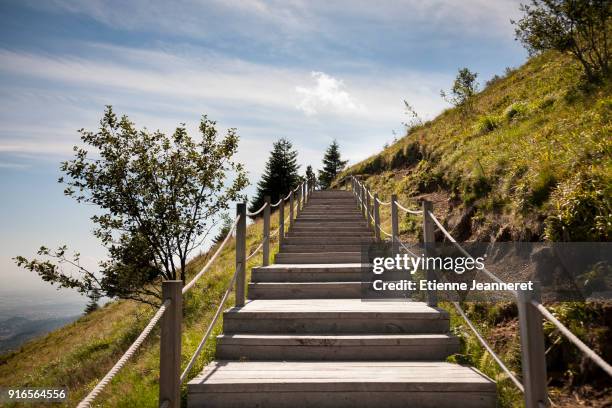 stairway to heaven, puy de dôme, auvergne, france - puy de dome photos et images de collection