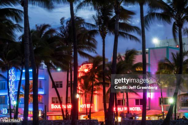 Florida, Miami Beach, Colony Boulevard Starlight at night.