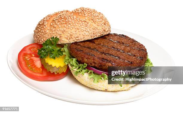 hambúrguer em um prato - hamburger - fotografias e filmes do acervo
