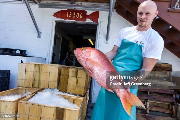 Man holding a red snapper at the Star Fish Company.