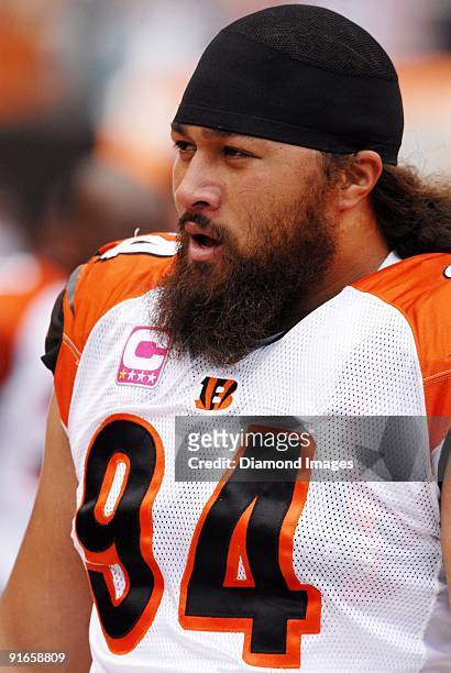 Defensive lineman Domata Peko of the Cincinnati Bengals watches pregame warm-ups prior to a game on October 4, 2009 against the Cleveland Browns at...