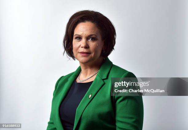 Mary Lou McDonald poses for an official photograph as the new President of Sinn Fein at the party's Ard Fheis at the RDS on February 10, 2018 in...