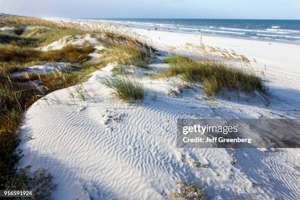 Florida Sand Ridges 1,401 Sand Dunes In Florida Stock Photos, High-Res Pictures, and Images ...