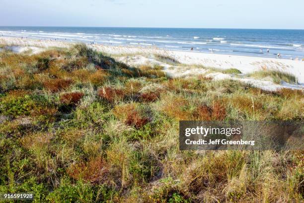 Florida Sand Ridges Sand Dunes In Florida Photos and Premium High Res Pictures - Getty Images
