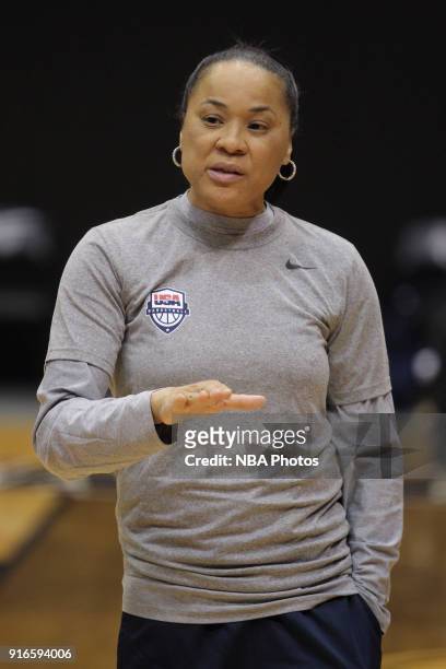 Dawn Staley of the 2018 USA Basketball Women's National Team coaches during training camp at the University of South Carolina on February 9, 2018 in...