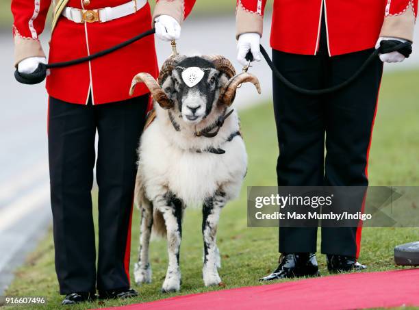 Private Derby XXII' awaits the arrival of Prince Charles, Prince of Wales for a visit to Bulford Camp on February 9, 2018 in Salisbury, England. The...