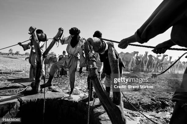 Early morning scenes at a water well used by a number of nearby Tuareg Nomad camps, Ingal Region, Niger, 04 October 2009. Tuareg Nomads have two...