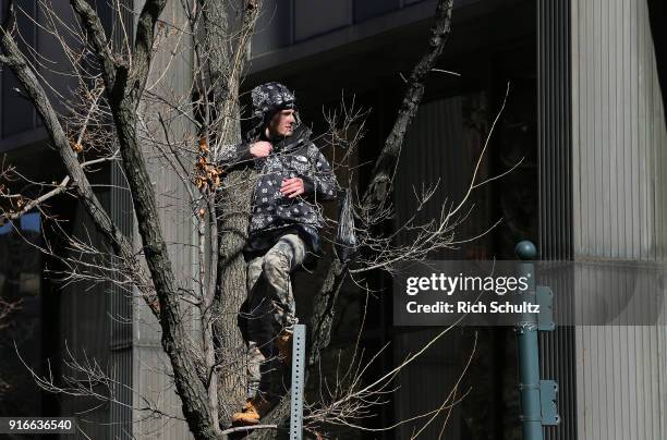 Fan climbs a tree during the Philadelphia Eagles Super Bowl Victory Parade on February 8, 2018 in Philadelphia, Pennsylvania.