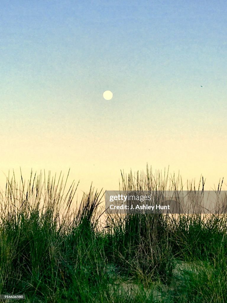 Sea Isle City