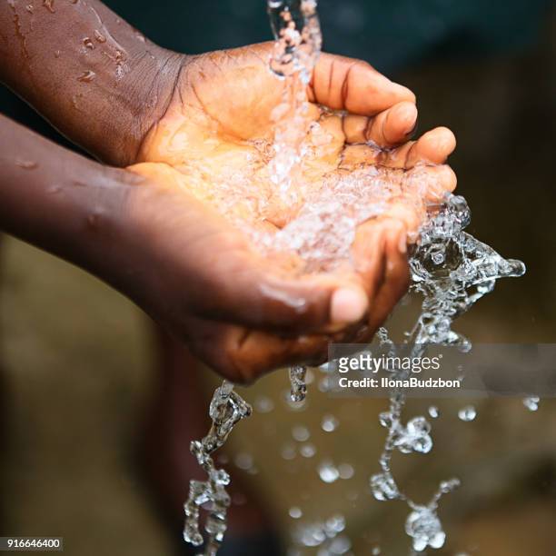 fresh water splashing in the hands of the child - água doce imagens e fotografias de stock