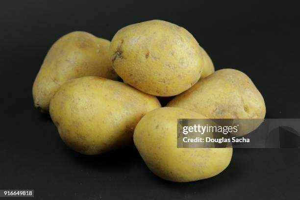 raw yellow potatoes on a black background - potato masher bildbanksfoton och bilder