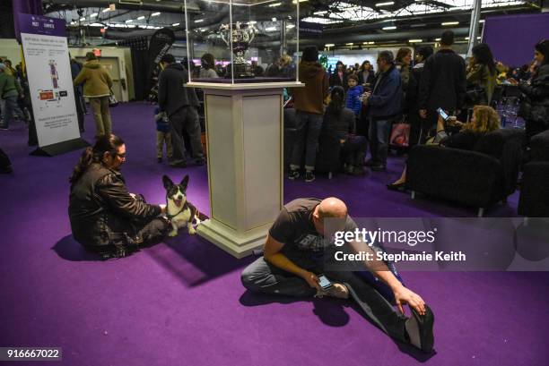 Man stretches along the sidelines of the Masters Agility Championship during the Westminster Kennel Club Dog Show on February 10, 2018 in New York...