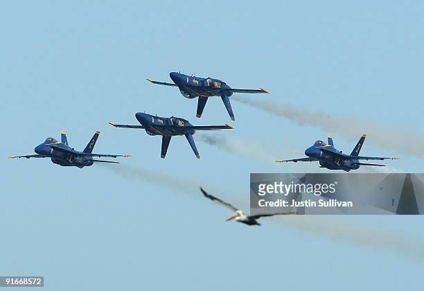 Pelican appears to be flying if formation with U.S. Navy Blue Angels F/A-18 Hornets during a practice performance ahead of the Fleet Week air show...