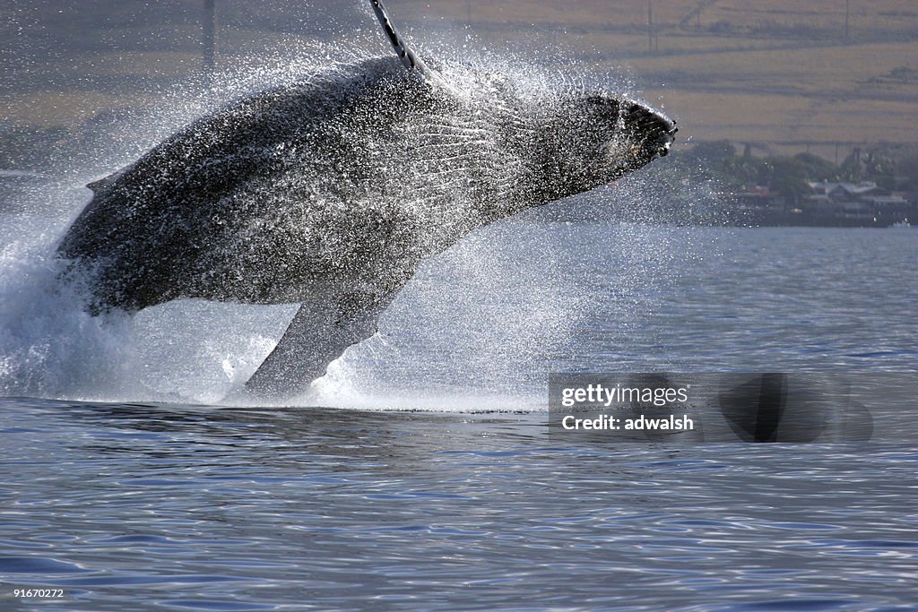 Breach Sequence 05 of 10