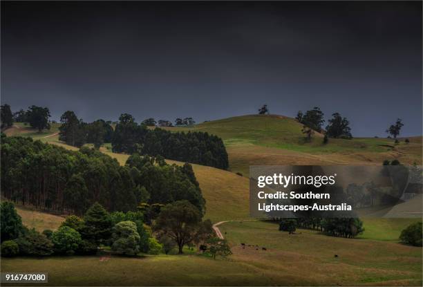 88 Strzelecki Ranges Stock Photos, High-Res Pictures, and Images ...