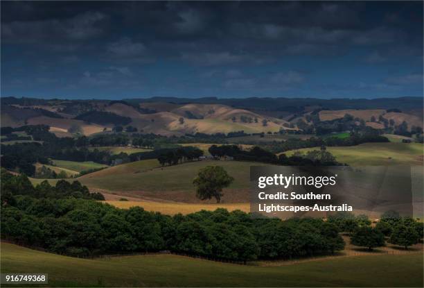 views to farmland at boolarra south, strzelecki ranges, south gippsland. - gippsland hills stock pictures, royalty-free photos & images