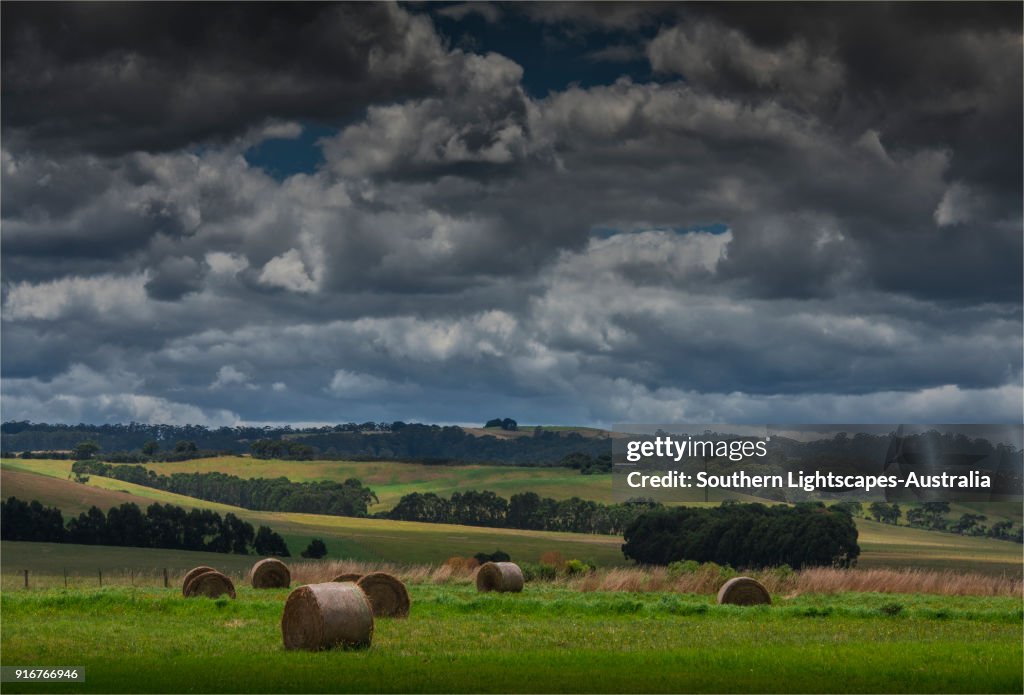Hay bales in the fields, Welshpool, South Gippsland