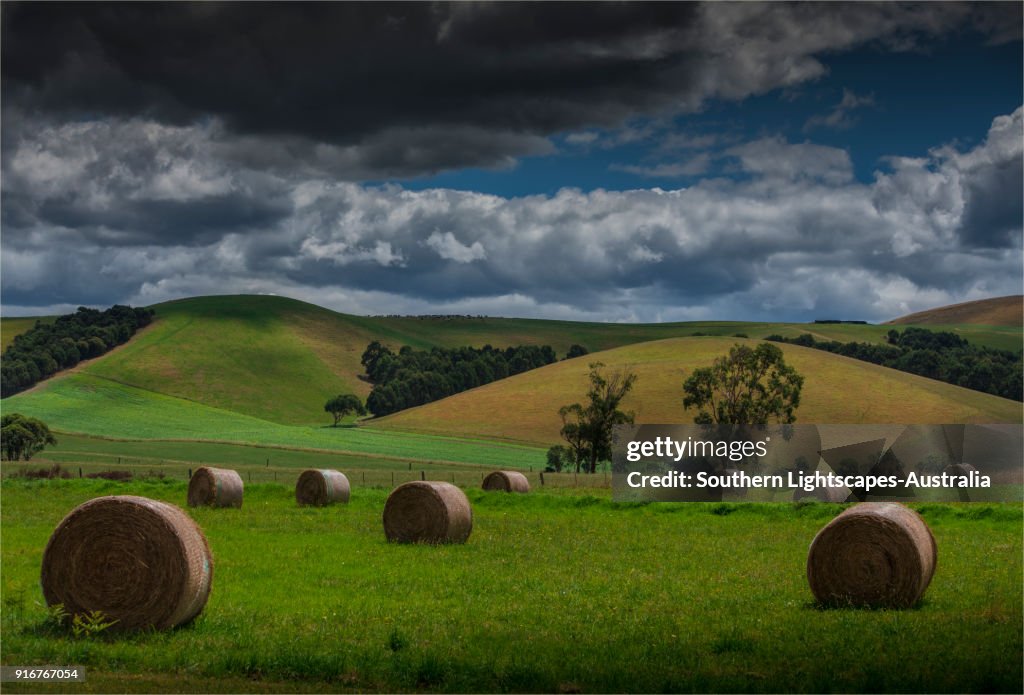 Hay bales in the fields, Welshpool, South Gippsland