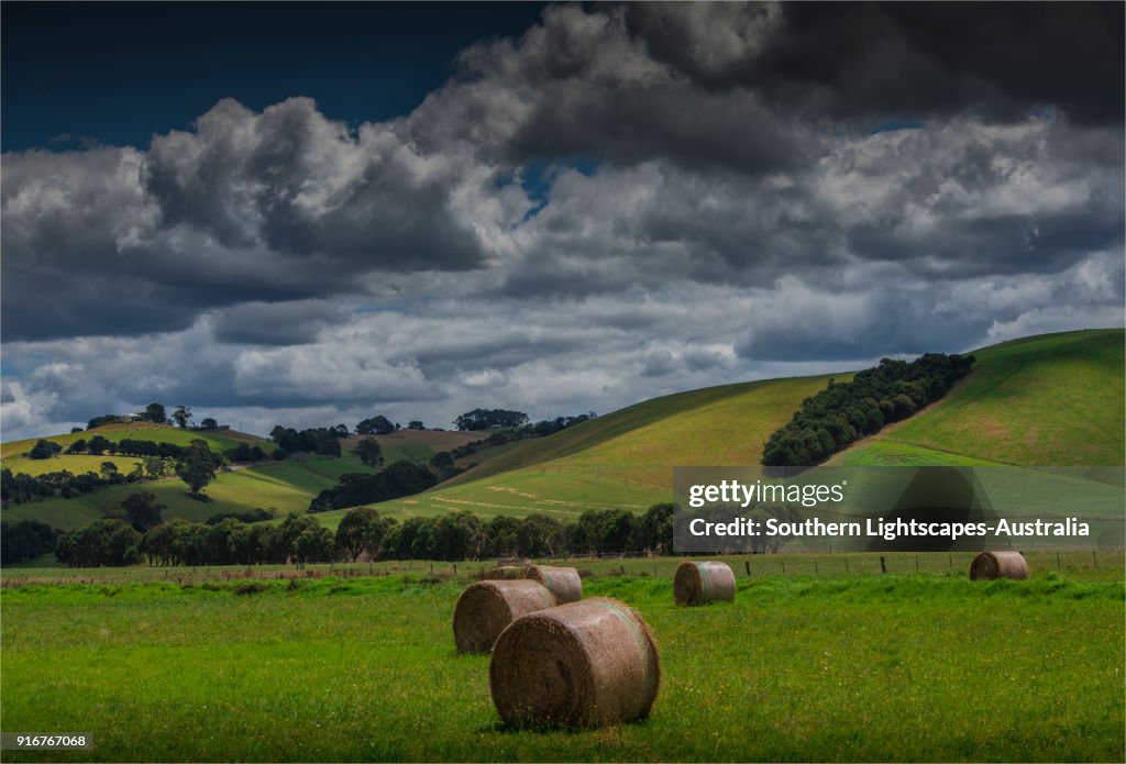 Hay bales in the fields, Welshpool, South Gippsland