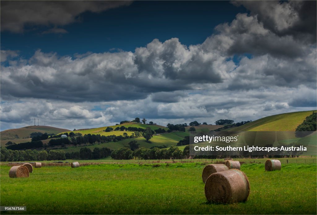 Hay bales in the fields, Welshpool, South Gippsland