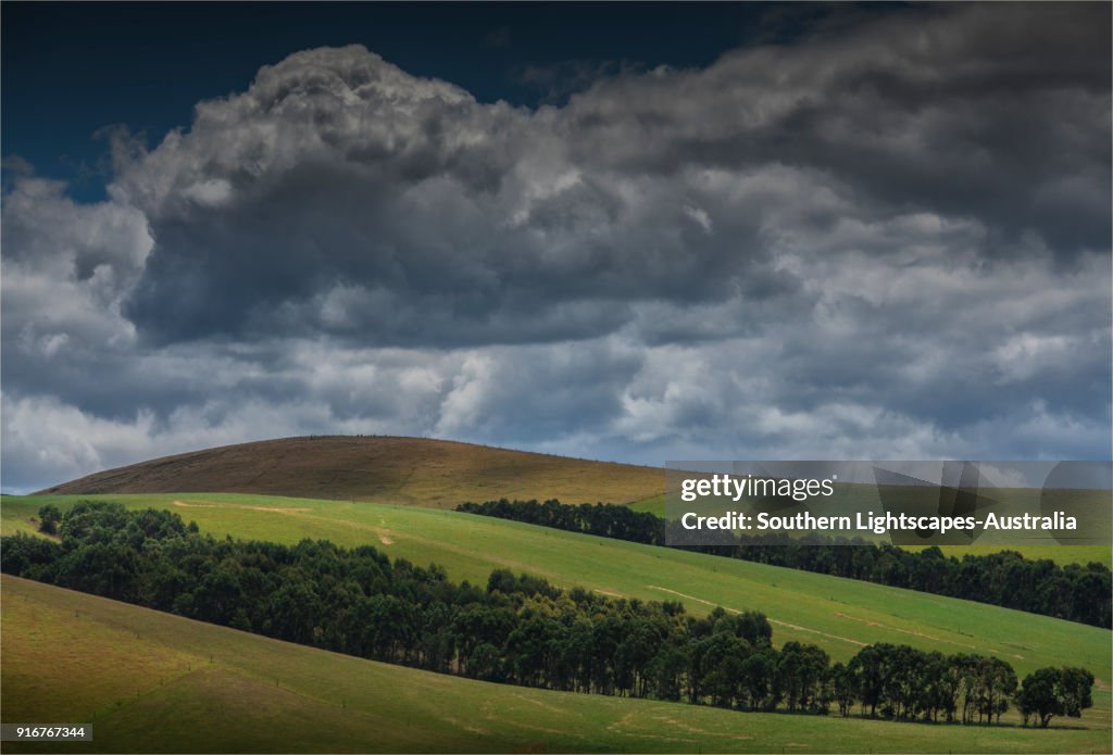 Rolling hills at Welshpool, South Gippsland