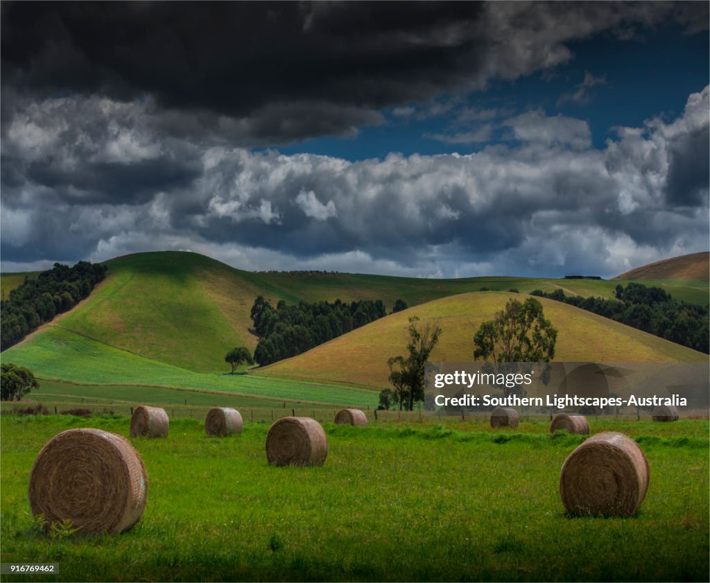 Hay bales in the fields, Welshpool, South Gippsland