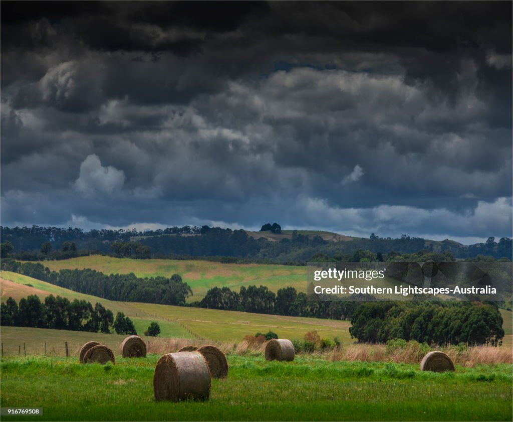 Hay bales in the fields, Welshpool, South Gippsland