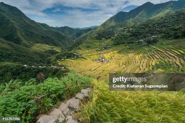 batad - luzon stock pictures, royalty-free photos & images