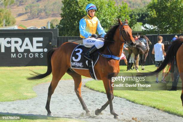 Tudor Rule ridden by Rebeka Prest returns to the mounting yard after winning the RMR Engineering BM58 Handicap on February 11, 2018 in Wodonga,...