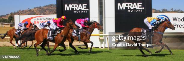 Tudor Rule ridden by Rebeka Prest wins the RMR Engineering BM58 Handicap on February 11, 2018 in Wodonga, Australia.