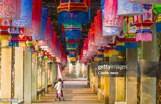 chinese lantern - 2013 chinese zodiac stock pictures, royalty-free photos & images