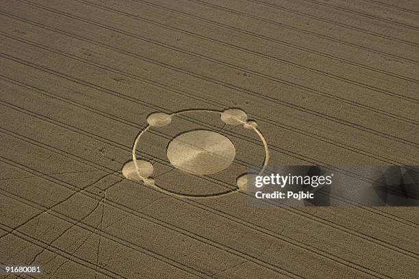 crop circles in the field of wheat - graancirkel stockfoto's en -beelden
