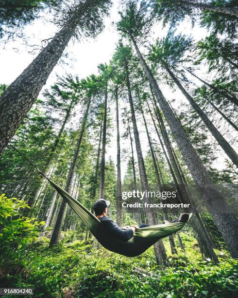 man resting on the hammock - man hammock stock pictures, royalty-free photos & images