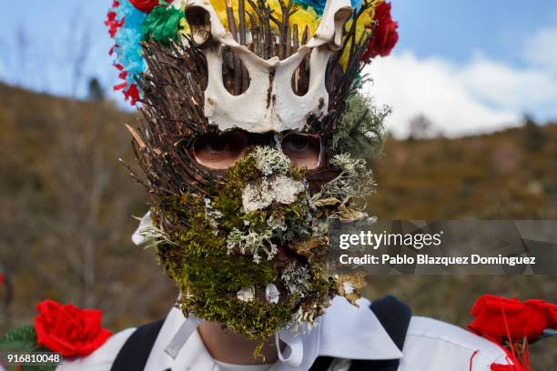 Botarga Mask 238 Botarga Stock Photos, High-Res Pictures, and Images - Getty Images