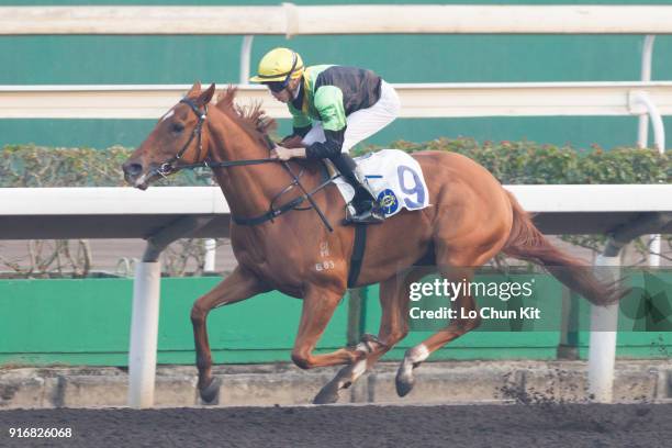 Jockey Vincent Ho Chak-yiu riding Ugly Warrior wins Race 9 Waterloo Handicap at Sha Tin racecourse on February 10, 2018 in Hong Kong, Hong Kong. Ugly...