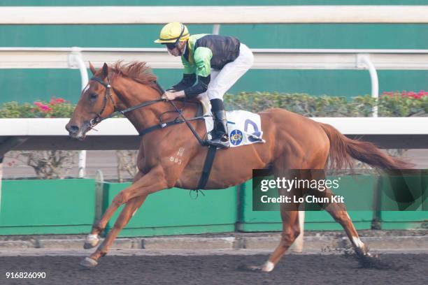 Jockey Vincent Ho Chak-yiu riding Ugly Warrior wins Race 9 Waterloo Handicap at Sha Tin racecourse on February 10, 2018 in Hong Kong, Hong Kong. Ugly...