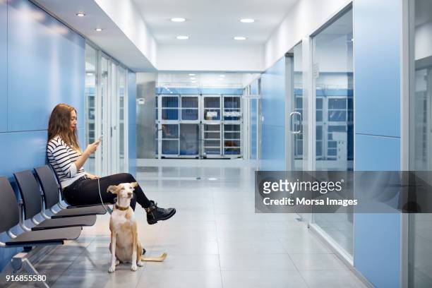 mujer esperando a su perro a ser examinado por el médico - veterinary surgery fotografías e imágenes de stock