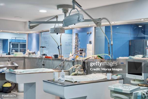 examining tables in empty animal hospital - examination table stock pictures, royalty-free photos & images