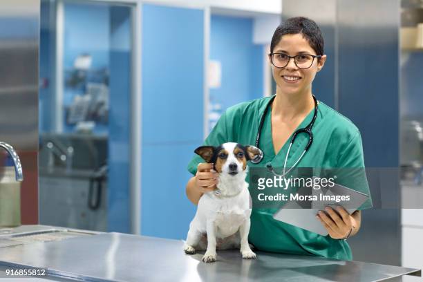smiling veterinarian with dog and digital tablet - veterinaria imagens e fotografias de stock