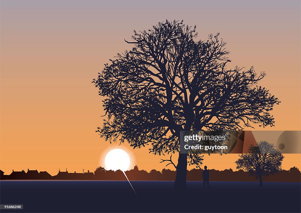 Spring sunrise