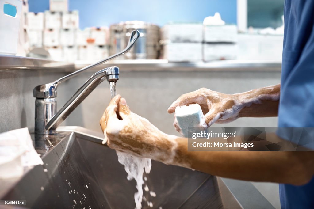 Dierenarts wassen van de handen met zeep op wastafel