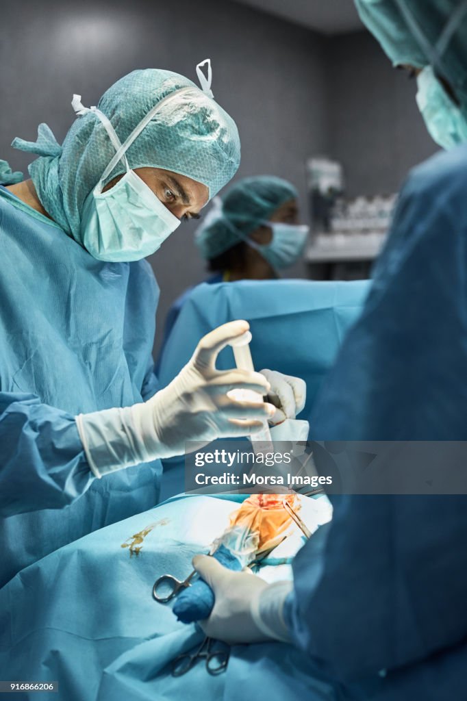 Perro inyectables veterinario durante la cirugía
