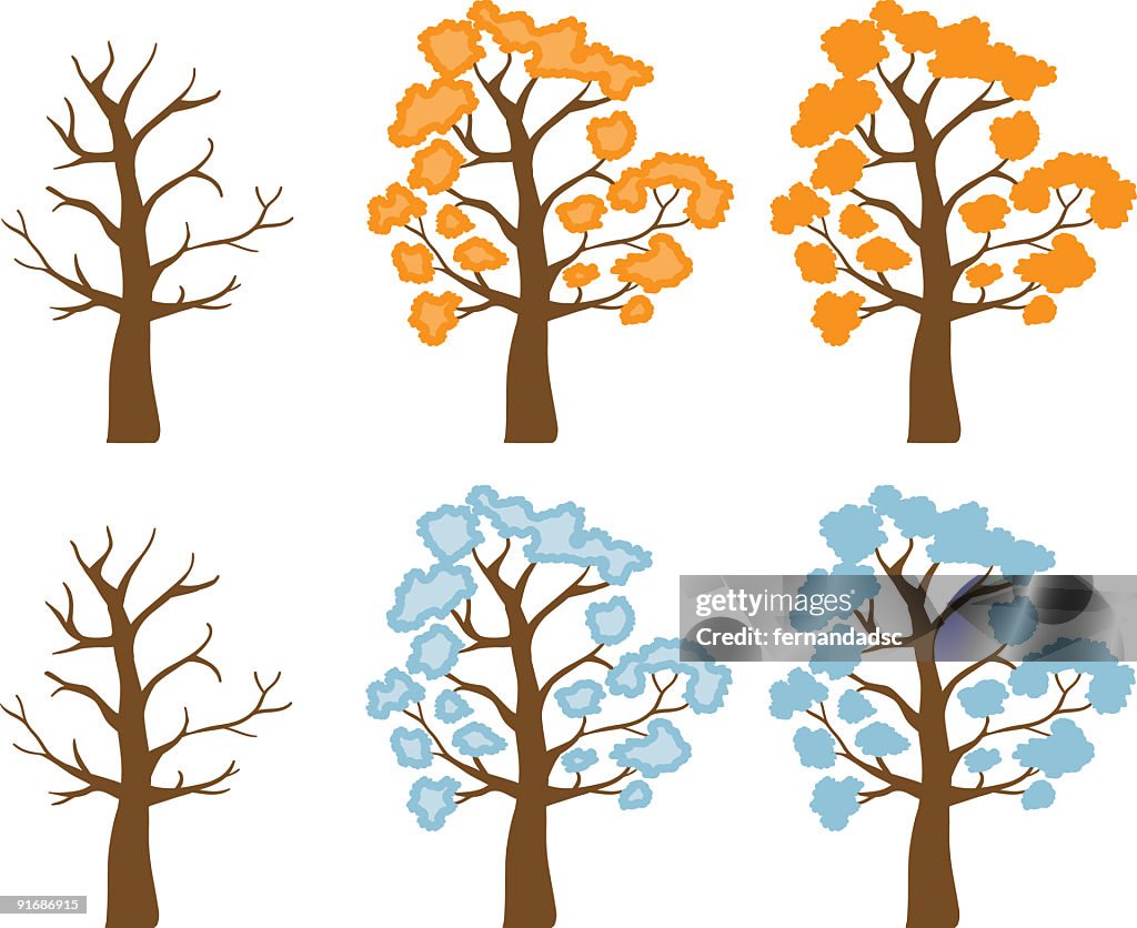 Orange and Blue trees