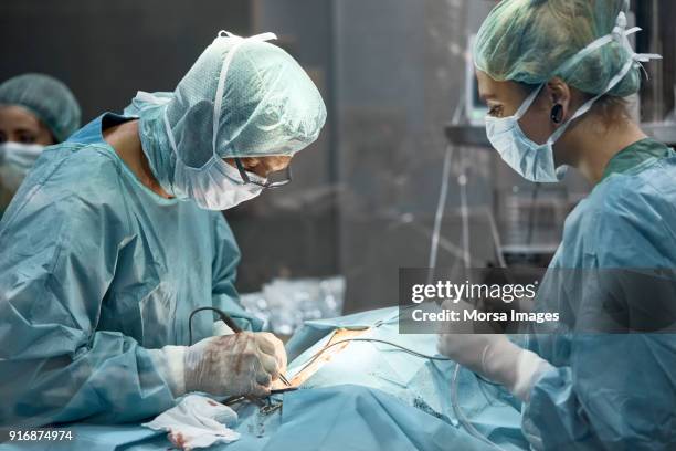 hund während im krankenhaus tätigen chirurgen - naht medizinisches material stock-fotos und bilder