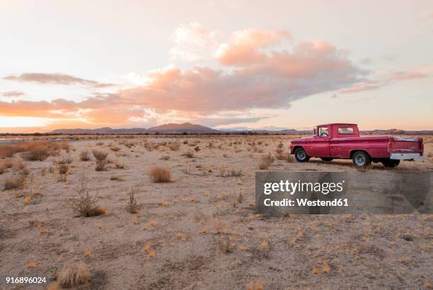 usa, california, joshua tree, pick-up truck in the desert of joshua tree - mojavewoestijn stockfoto's en -beelden