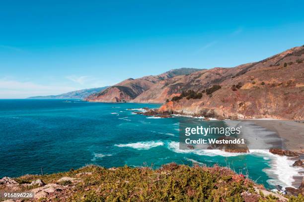 usa, california, view of coast with beach, big sur national park - côte pacifique photos et images de collection