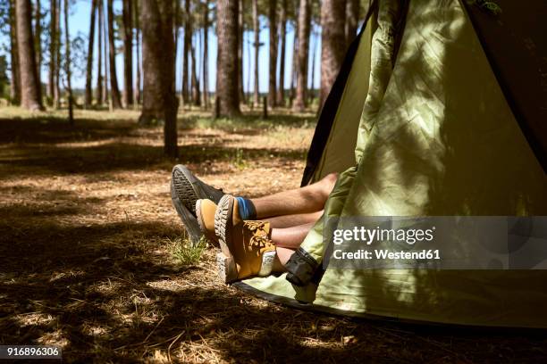 shoes are sticking out of a tent in forest - protruding stock pictures, royalty-free photos & images