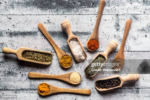 spicies, curry, chilli, cinnamon, curcuma, garlic, parsley, oregano, salt and pepper on wooden spoons - curcuma stock pictures, royalty-free photos & images