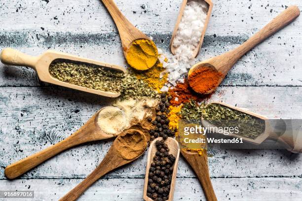 spicies, curry, chilli, cinnamon, curcuma, garlic, parsley, oregano, salt and pepper on wooden spoons - curcuma stock pictures, royalty-free photos & images
